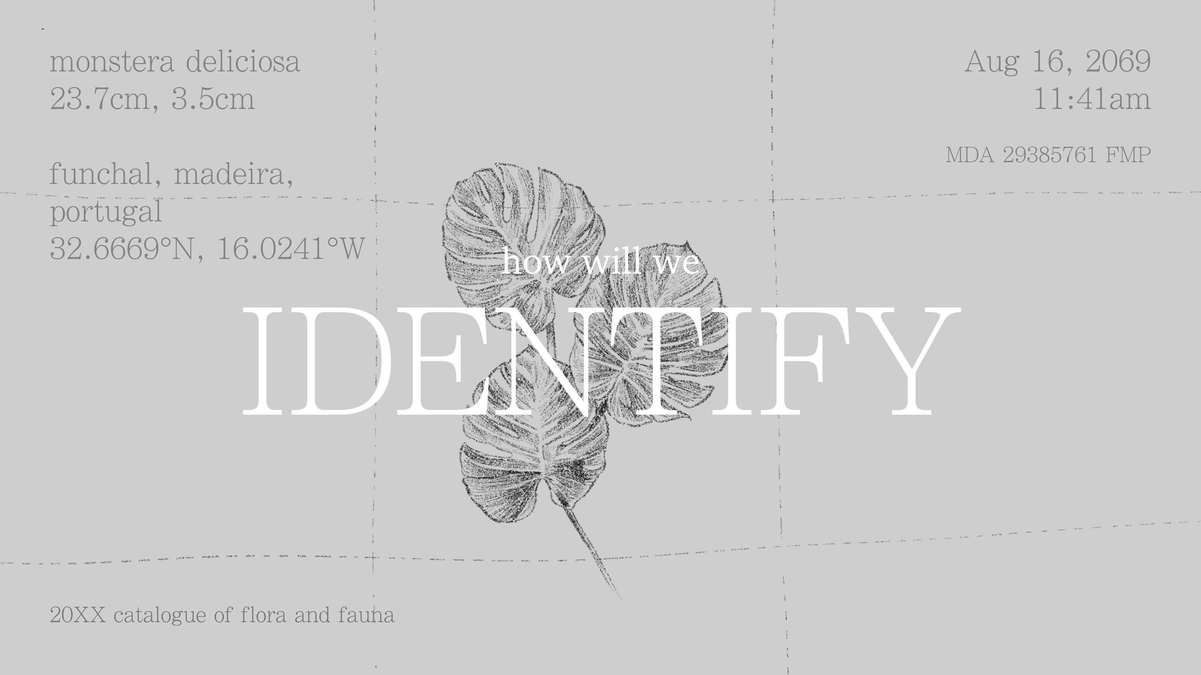 identify