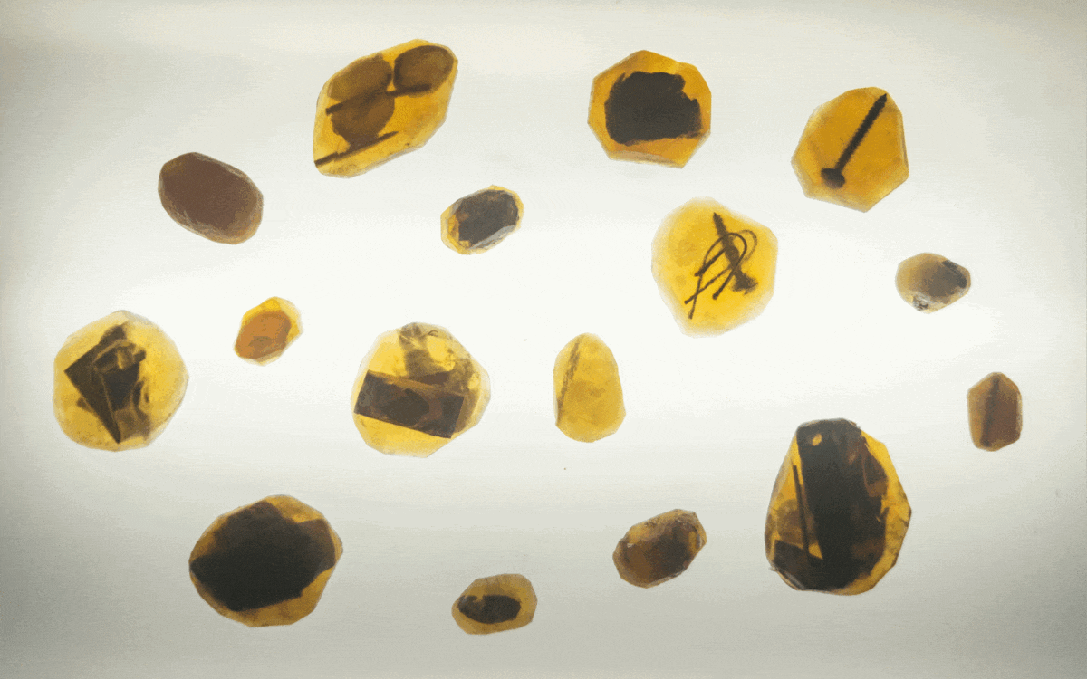 everyday____ gif