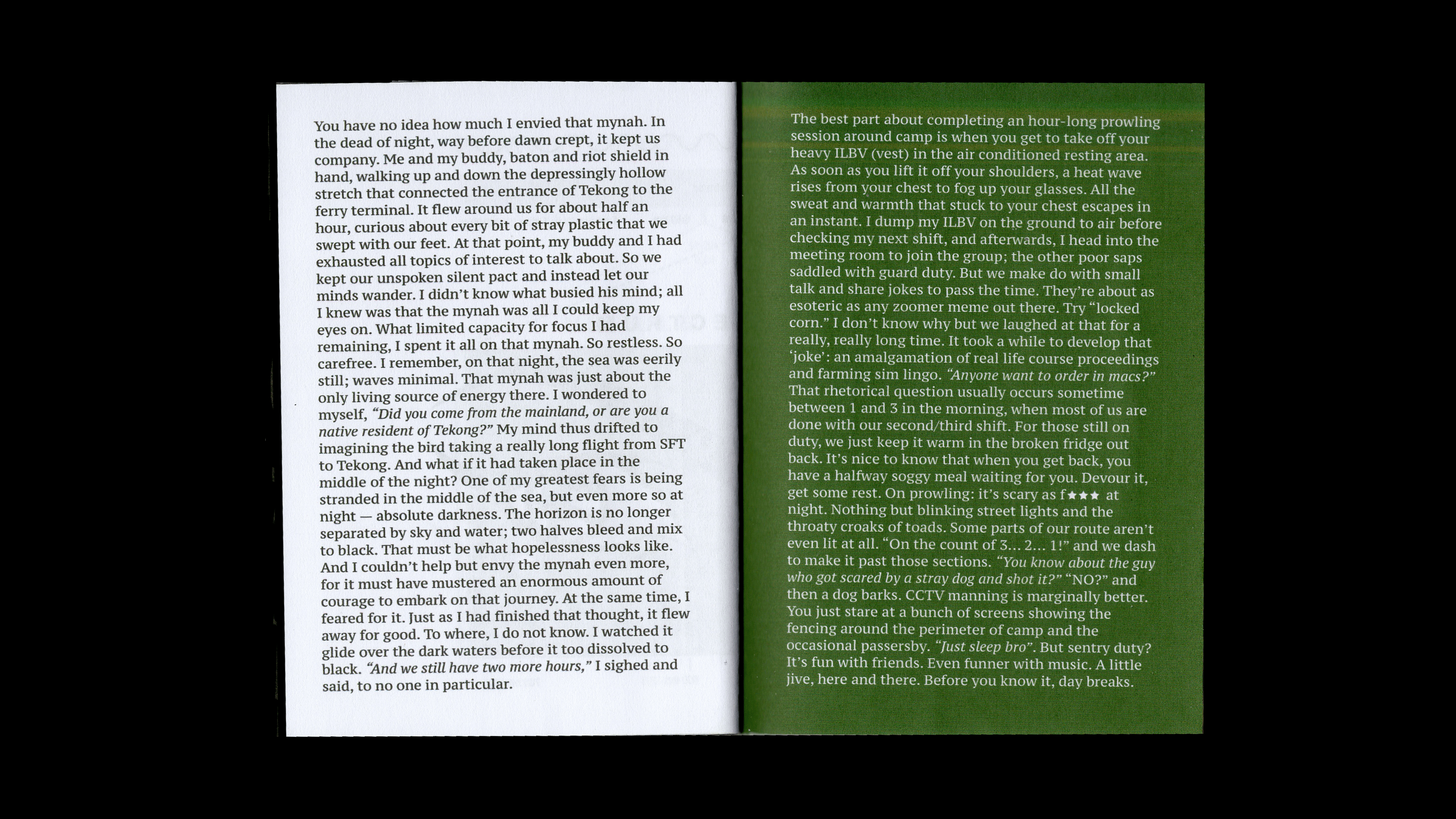 zinedef13